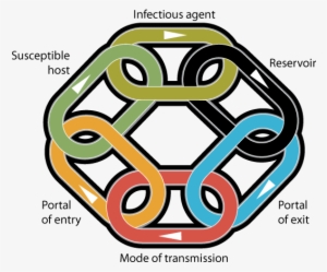 Slider Image - Chain Of Infection Uk