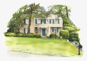 A Puppy On Greystone - Dog