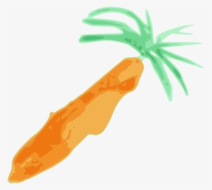 Picture Of Carrot - Carrot