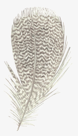 Feather Watercolor Decorative Figure - Pond Pine