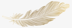 Feather Png Download Image - Password Logbook