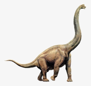 Dinosaur Vector Free Transparent Image - Brachiosaurus Long Neck Dinosaur