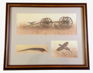 Sherry Van Berkom, Ring-necked Pheasant By Old Wagon, - Artist