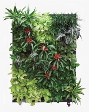 Please Contact Us For A Free Consultation On Our Living - Living Wall On Wheels