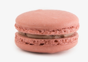 Chocolate - Chocolate Macaroon Transparent