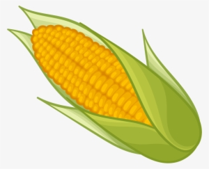Corn Png Clipart - Clipart Corn On The Cob
