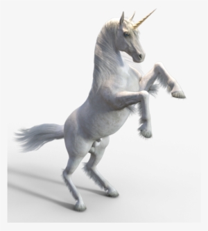 White Unicorn, Category, - Unicorn Psd
