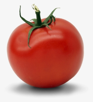 Sumthintomato Wit You - Plum Tomato