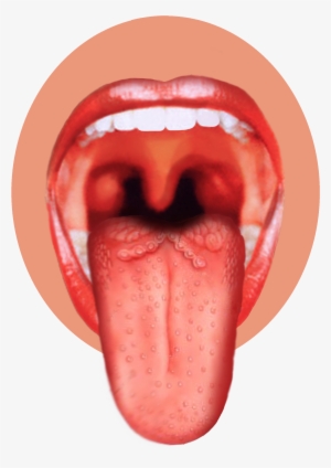 Human Tongue Png Image - Sense Organ Of Taste
