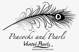 Magnificient Feather - Highest Quality Wall Decal Stickers