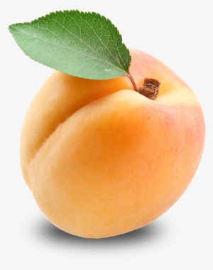 Apricot Free Download Png Hd - Apricot Png