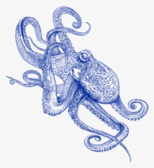 Clip Art Black And White Library Ballpen Drawings By - Octo Flow Canvas Print - Small By Rachel Caldwell