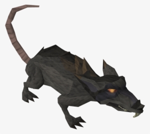 Runescape Rat