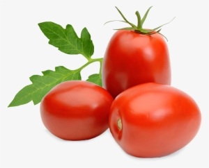 Tomatoes - Tomato Roma