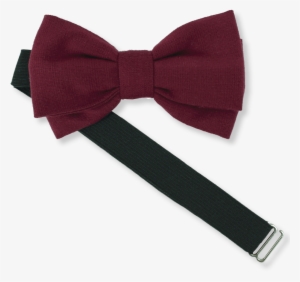 Png Download Necktie Bow Clothing Accessories Butterfly - Bow Tie