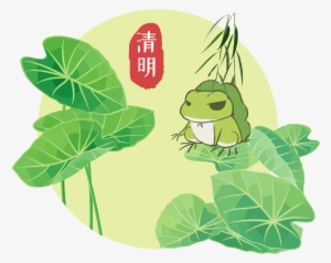 Green Lotus Leaf Frog Clear Element Design - 荷 叶