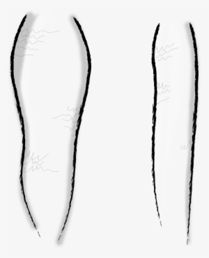 Mermaid Tail Design Center - Sketch