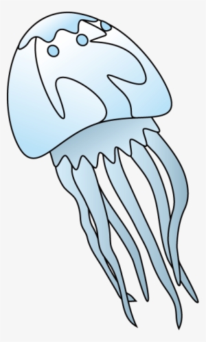 Collection Of Transparent High Quality Free - Box Jellyfish Clip Art