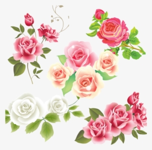 Pink White Rose Flower Vector, Pink Rose, Flower, Vector - Flores Desenho Vetor Png