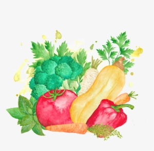 Colorful Hand Drawn Cartoon Vegetable Kitchen Transparent - Carolines Treasures Watercolor Vegetables Farm To Table