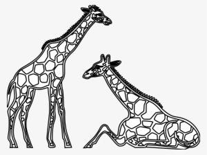 Drawn Giraffe Clip Art Black And White - Line Drawings Of Giraffes
