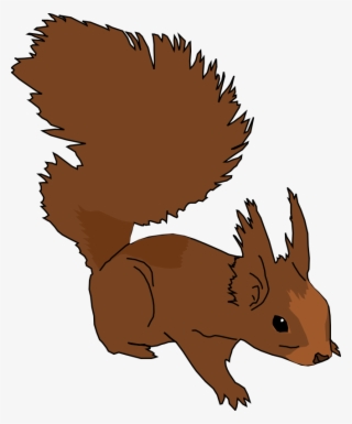 Squirrel Png Images