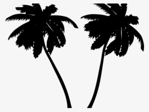 Palm Tree Vector Art Free - White Palm Tree Clipart