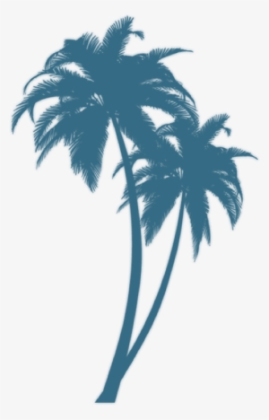 Turquoise Palm - Palm Tree Silhouette Png