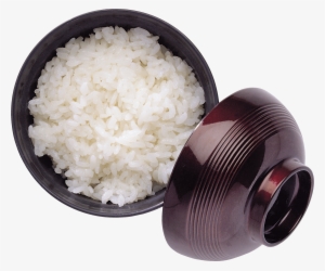 Hainanese Rice Free Download