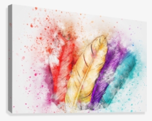 Feathers Art