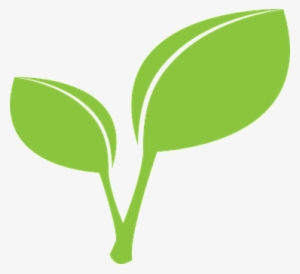 Green Leaf Leaves Leaf Leaf Leaf Leaf Leaf - Leaf Clipart Png