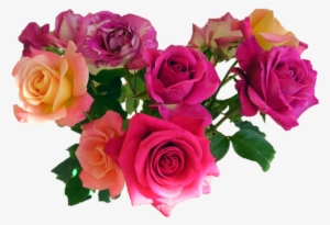 Pink Roses Png Image - Avon Wish Of Love