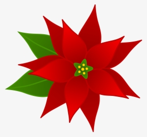 Christmas Poinsettia Flower - Poinsettia Clipart
