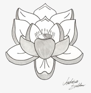 Lotus Tattoos Png Picture - Tattoo
