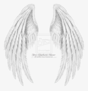 Folded Angel Wings Dragon Wings Folded White Angel - Folded Wings