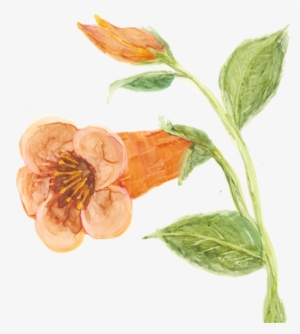 Artwork That Really Adds A New Depth To This Book - Cowslip