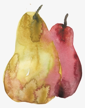 Pears-sm - Pear