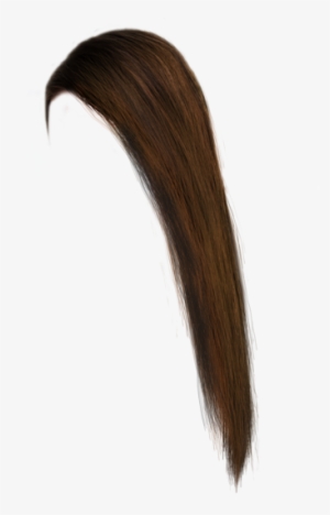 Brown Hair PNG Free HD Brown Hair Transparent Image  PNGkit