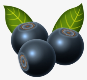 Blueberry, Beautiful, Vegetables, Fruits Png And Psd - Fruit