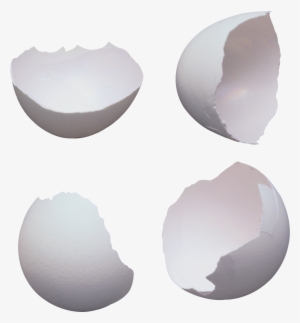 Download - Cracked Egg Shell Png