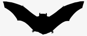 Adult Bats