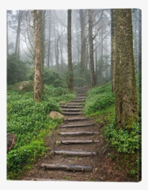 Go To Image - Essence Of The Christian Journey: Faith, Hope,