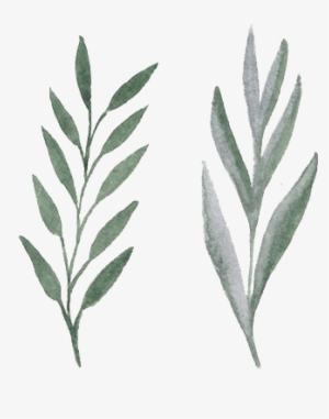 Watercolor Aquarelle Flowers Png - Aquarelle Flower Png