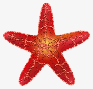 Starfish Png