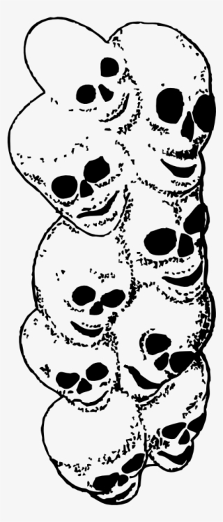 Heads Of Skeleton Png