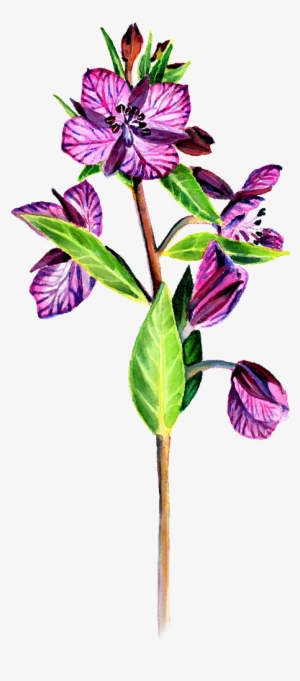 Svg Library Download My Approach To A Painting Studio - Periwinkle