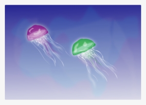 Jellyfish La Medusa Moon Jelly Computer Icons - Jellyfish