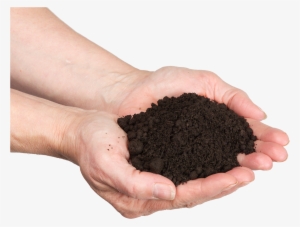 Why Should I Buy High Quality Soil - Soil On The Hand