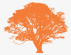 Orange Tree Clip Art