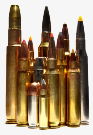 Low-cost Alternative For Zeroing Your Gun - Cartridge